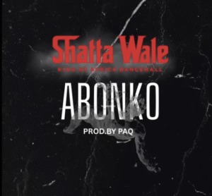 Shatta Wale - Abonko