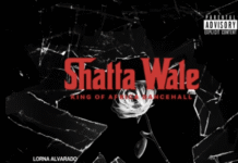 DOWNLOAD MP3 : Shatta Wale – Yaa Mallam