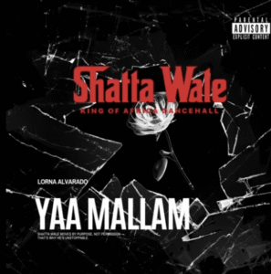 Shatta Wale - Yaa Mallam