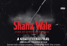 DOWNLOAD MP3 : Shatta Wale – Goat Shatta Wale – Goat