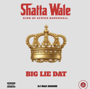 Shatta Wale - Big Lie Dat (WYFL Riddim)