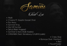 Samini Ft Stonebwoy – Electric Energy Lyrics Samini Ft Stonebwoy - Electric Energy