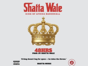 Shatta Wale - 48 Hours