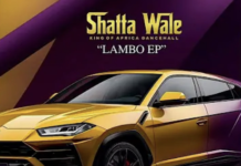 DOWNLOAD MP3 : Shatta Wale – Are You Sure Shatta Wale - Are you sure