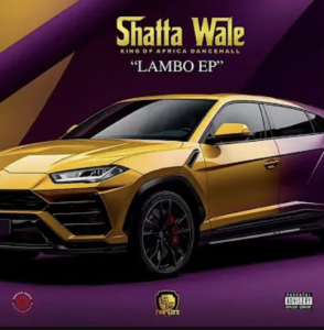 Shatta Wale - Are you sure