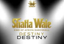 DOWNLOAD MP3 : Shatta Wale – Destiny Shatta Wale - Destiny