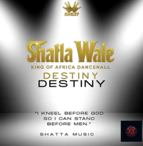 Shatta Wale - Destiny