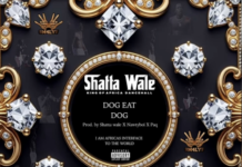 DOWNLOAD MP3 : Shatta Wale – Dog Eat Dog Shatta Wale - Dog Eat Dog