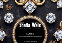 DOWNLOAD MP3 : Shatta Wale – Maybe Shatta Wale - Maybe