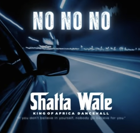 Shatta Wale - No No No Shatta Wale - No No No