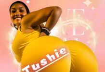 DOWNLOAD MP3 : Toolad – Tushie Toolad - Tushie