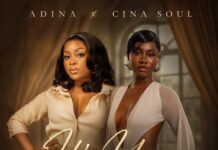 DOWNLOAD MP3 : Adina Thembi Ft Cina Soul – It’s You Adina Thembi Ft Cina Soul - It's You