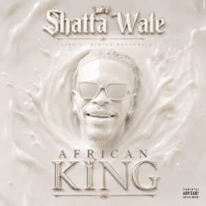 Shatta Wale - Flash Light