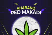 DOWNLOAD MP3 : Red Makadi – Ahabano Red Makadi – Ahabano