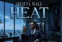 DOWNLOAD MP3 : Shatta Wale – Heat Shatta Wale - Heat