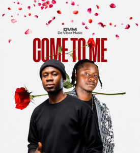 DVM De Vibez Music - Come To Me