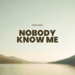 Nobody Know Me cover art